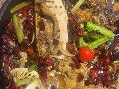 -老板恋上鱼(恒隆广场店)