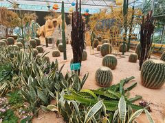 -南宫五洲植物乐园