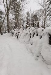 -大秃顶子山