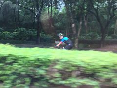 -燕晗山郊野公园