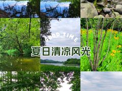 -茅家埠