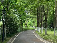 -新洲生态园