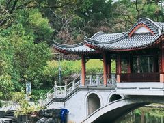 -柳侯公园