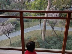 -成都安仁福朋喜来登酒店