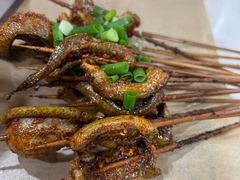 鳝鱼-晓靖轩烧烤(沙河风情店)