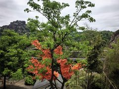 -巨石山景区