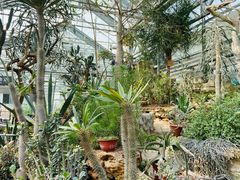 -国家植物园南园