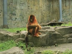 -大连森林动物园