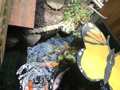 -上海大自然野生昆虫馆(东方明珠·爬宠昆虫探索中心)
