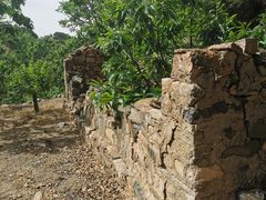 -遵化市禅林寺古银杏风景园