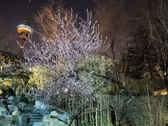 -中国人民解放军空军特色医学中心(空军总医院)