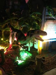 -恐龙探索乐园(磁器口店)