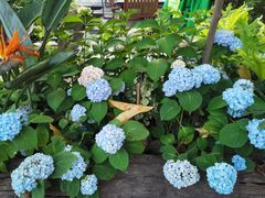 -时光乌托邦空中花园餐厅川味·融合菜(幸福广场店)