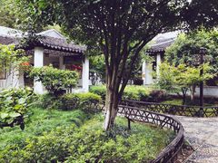 -朱家角课植园