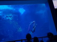 -太平洋海底世界