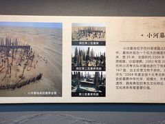 -巴音郭楞蒙古自治州博物馆