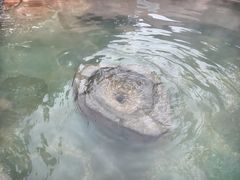 -溧阳天目湖天沐温泉