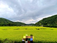-南泥湾风景区
