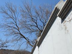 -北京西山国家森林公园