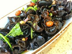 凉拌木耳-点都德(汇盈广场店)