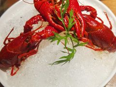 冰镇酒醉小龙虾-清水亭湖北菜(大屯DT51店)