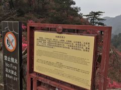 -木兰云雾山