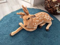 -乐米baby儿童摄影(燕郊店)