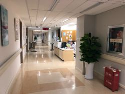 -杭州贝瑞斯美华妇儿医院·早孕·产检·儿科