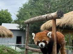 -水上乐园·欢乐世界