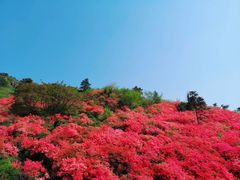-木兰云雾山
