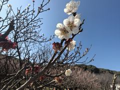 -苏州上方山国家森林公园