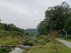 -东莞植物园