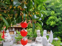 -福州开元寺