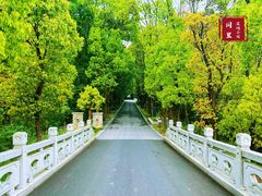 -同里国家湿地公园
