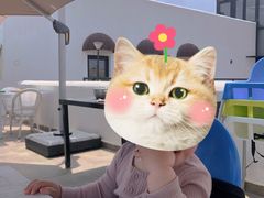 -素心小筑(后沙裕镇店)