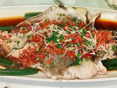 -巴渝菜舍曾氏麻辣风(霸州店)