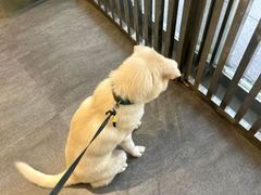 -汤姆宠物(长青北路店)