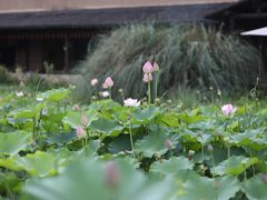 -百翠山居.家飨餐厅