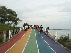 -贡湖湾湿地公园