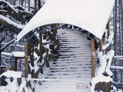 -横道河子东北虎林园
