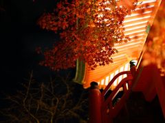 -醍醐寺