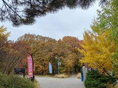 -国家植物园南园