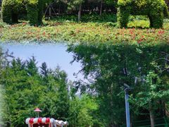 -长白岛森林公园