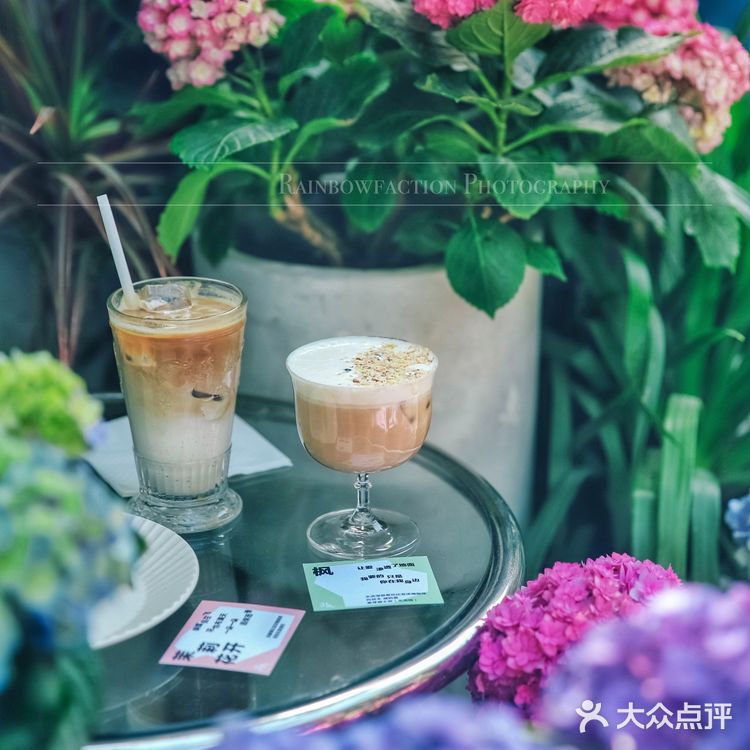 探店|在胡同绣球花盛开的小院听一曲周杰伦