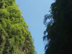 -阿依河景区