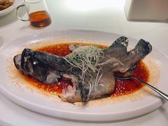 清蒸石斑鱼-鱼乐轩·俄罗斯海鲜直供餐厅(群力店)