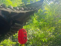 -石台牯牛降景区