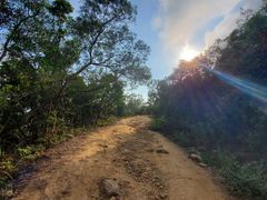 -梧桐山风景名胜区