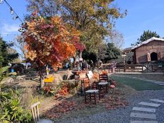 -HERRE·FARM 赫尔露营农场·团建聚会包场