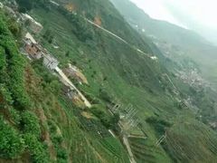 -文雅轩茶叶(锦和越界田林坊店)